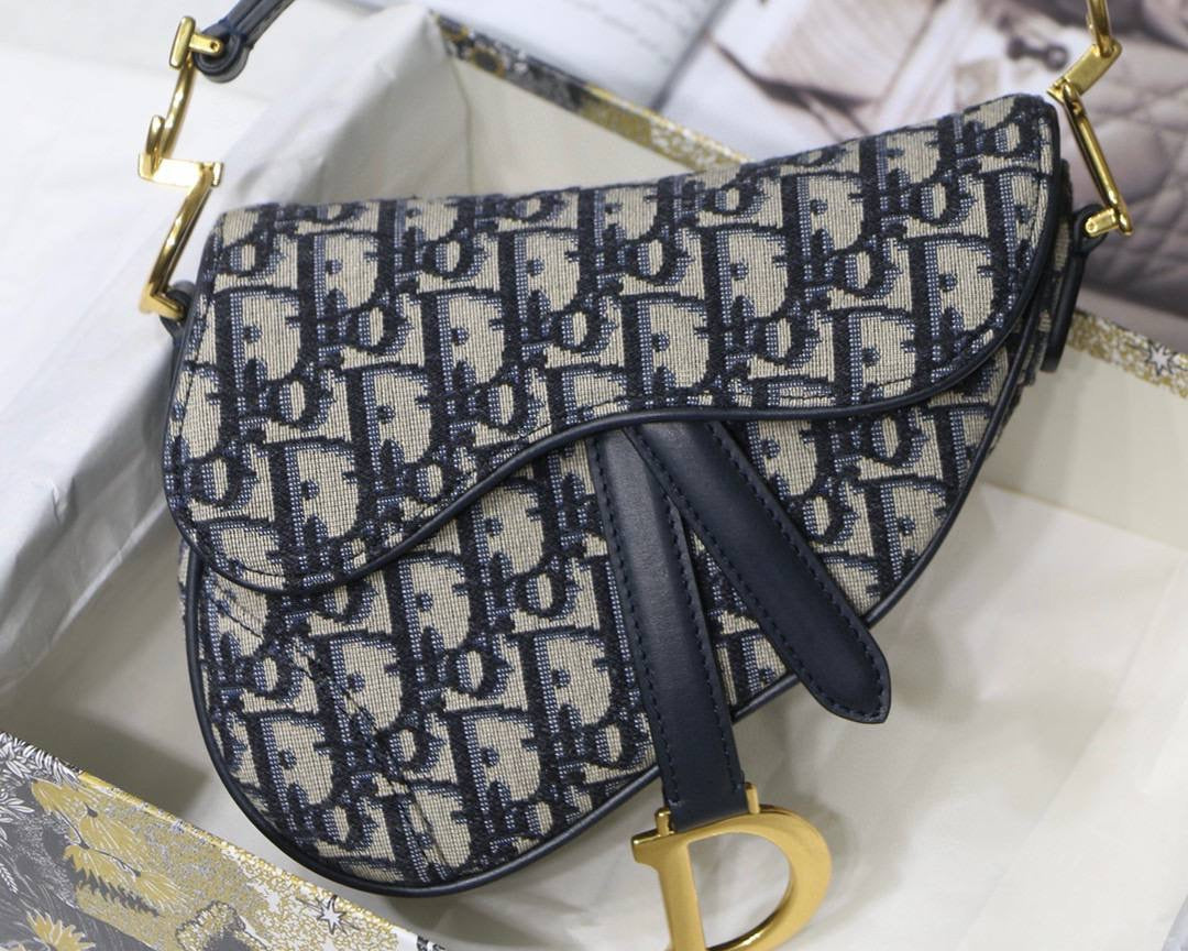 Dior saddle bag