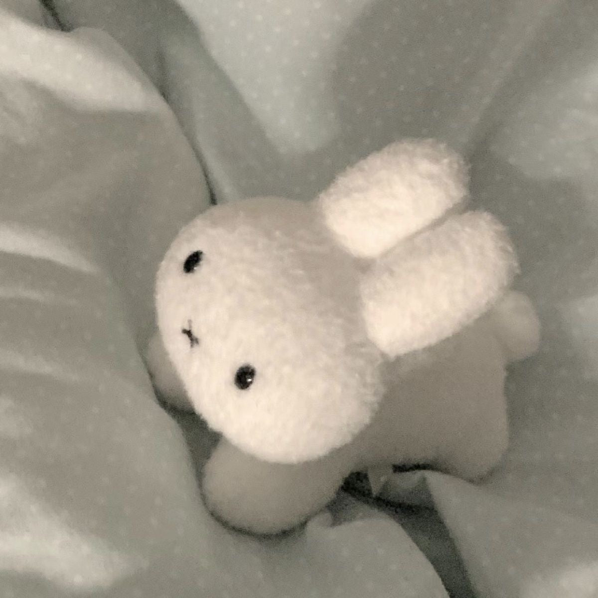 Miffy plushie