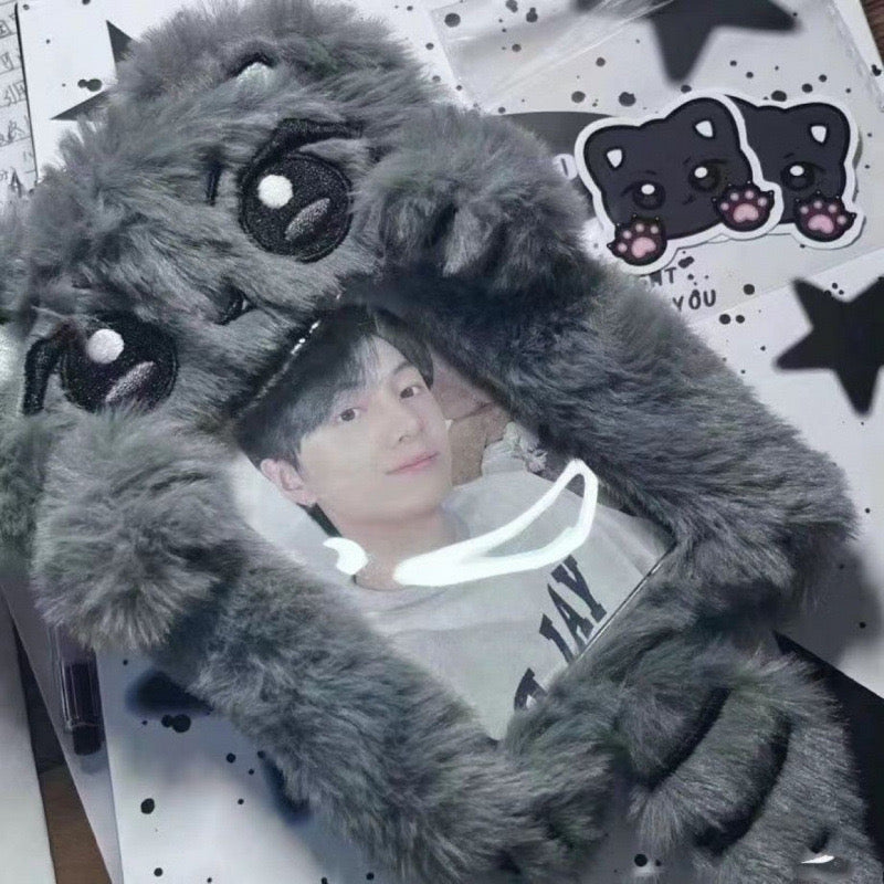 Korean idol photocard holder