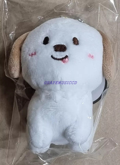 KPOP RIIZE Plushie Keychain doll