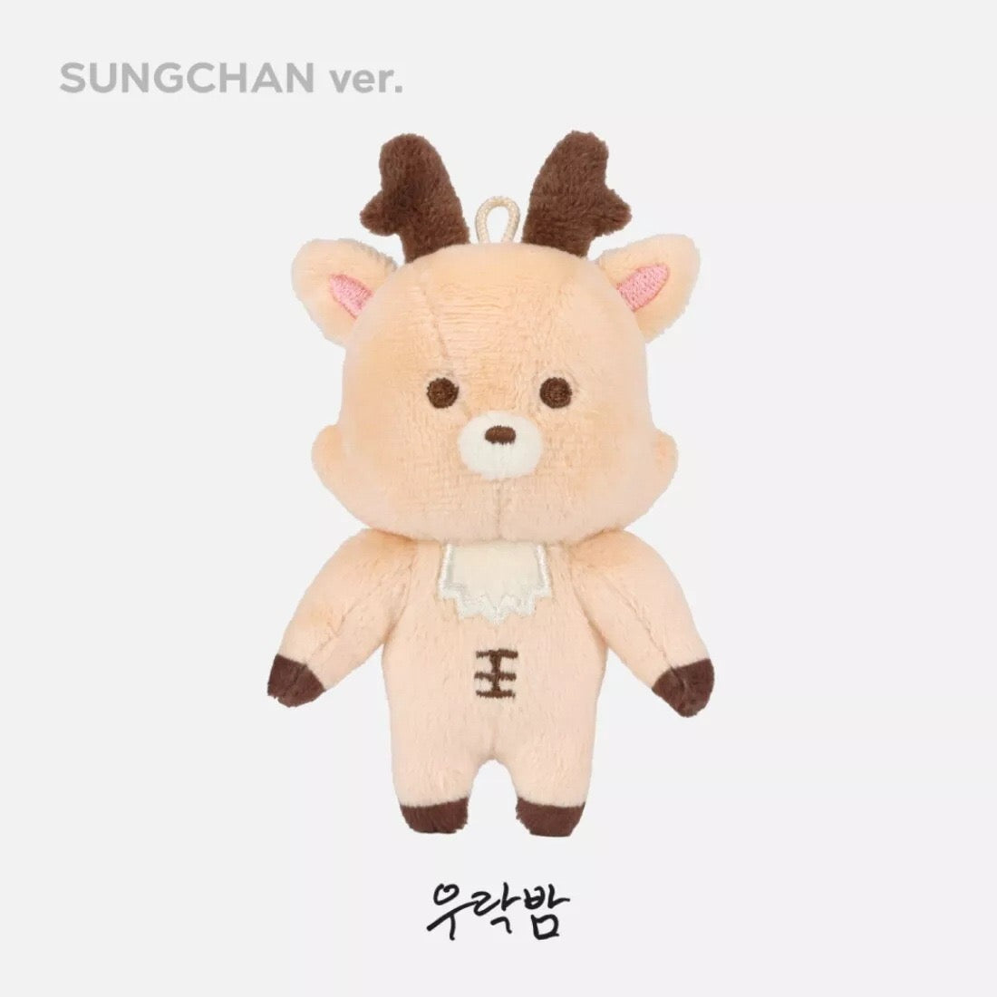 KPOP RIIZE Plushie Keychain doll