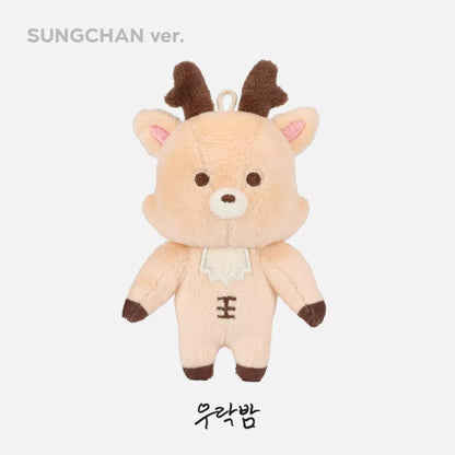 KPOP RIIZE Plushie Keychain doll