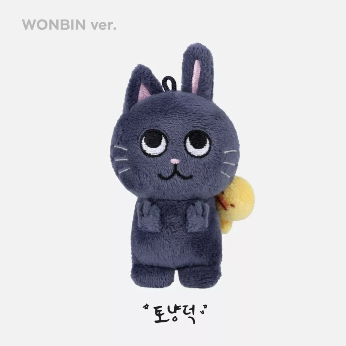 KPOP RIIZE Plushie Keychain doll