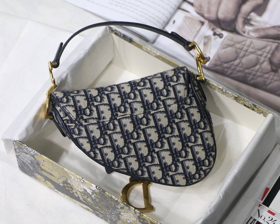 Dior saddle bag