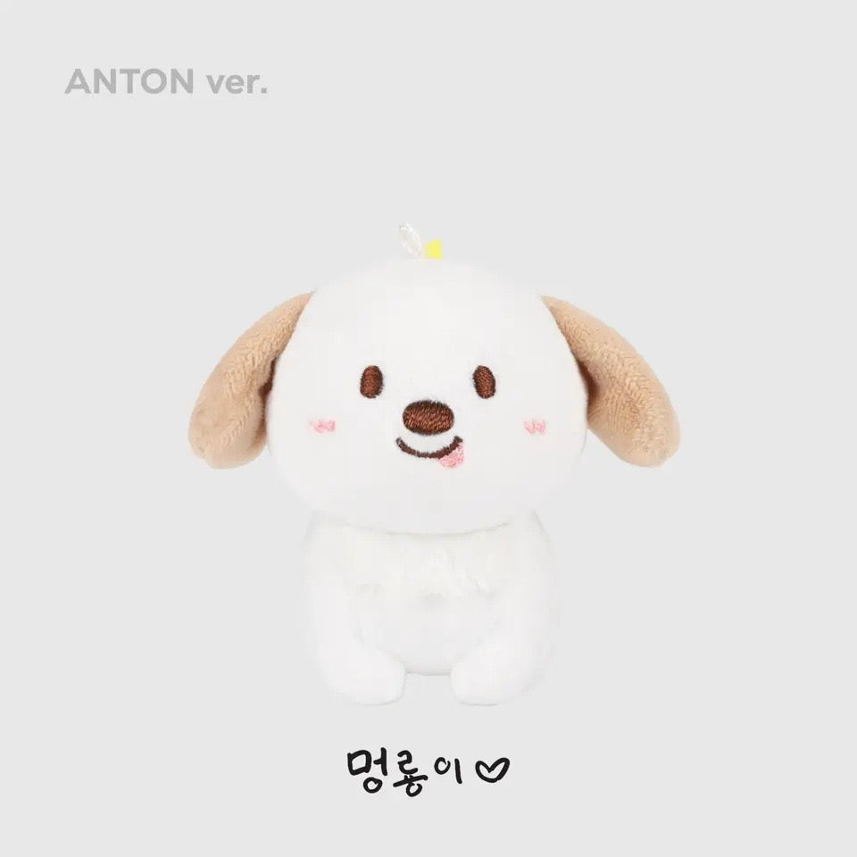 KPOP RIIZE Plushie Keychain doll