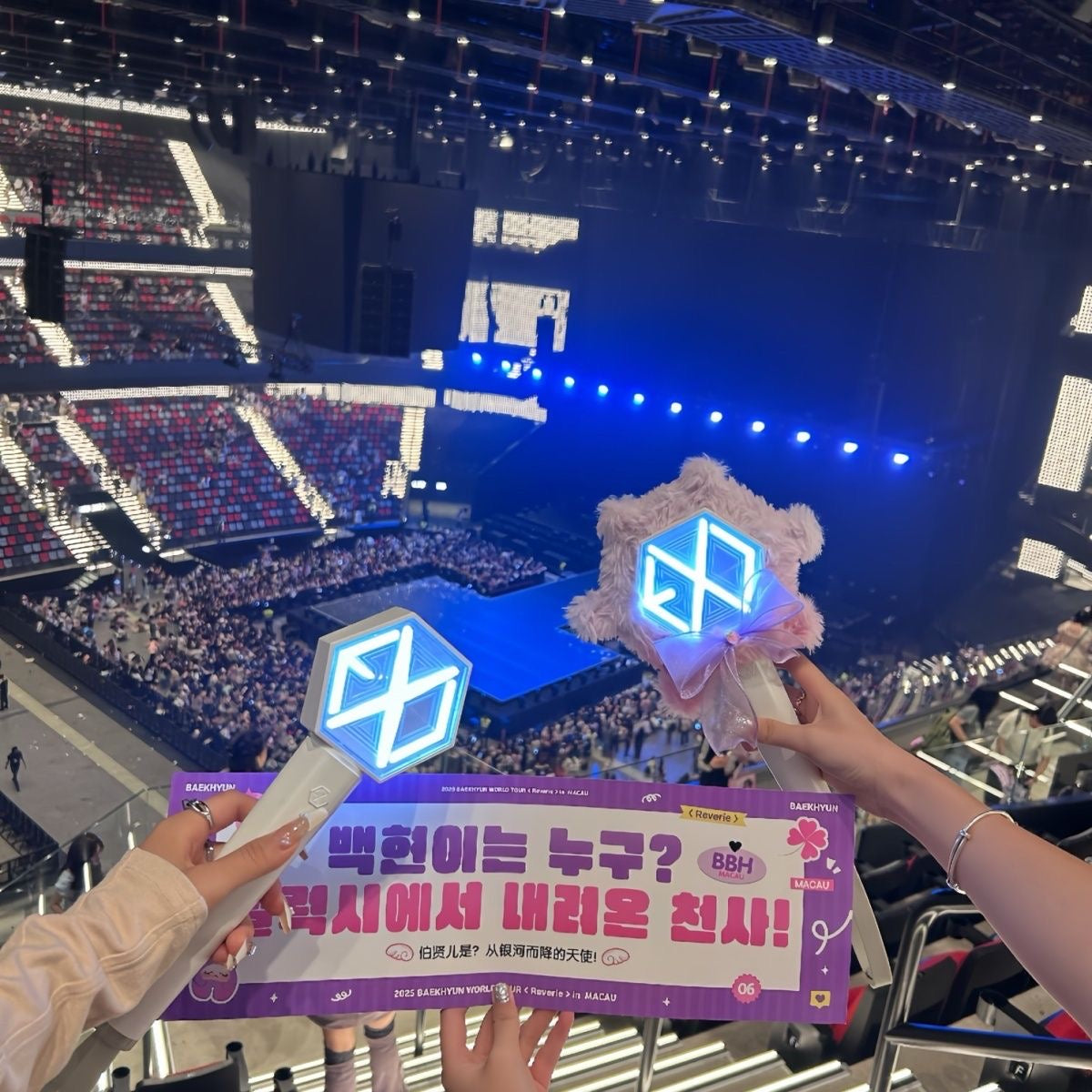 Baekhyun EXO lightstick cover accessories