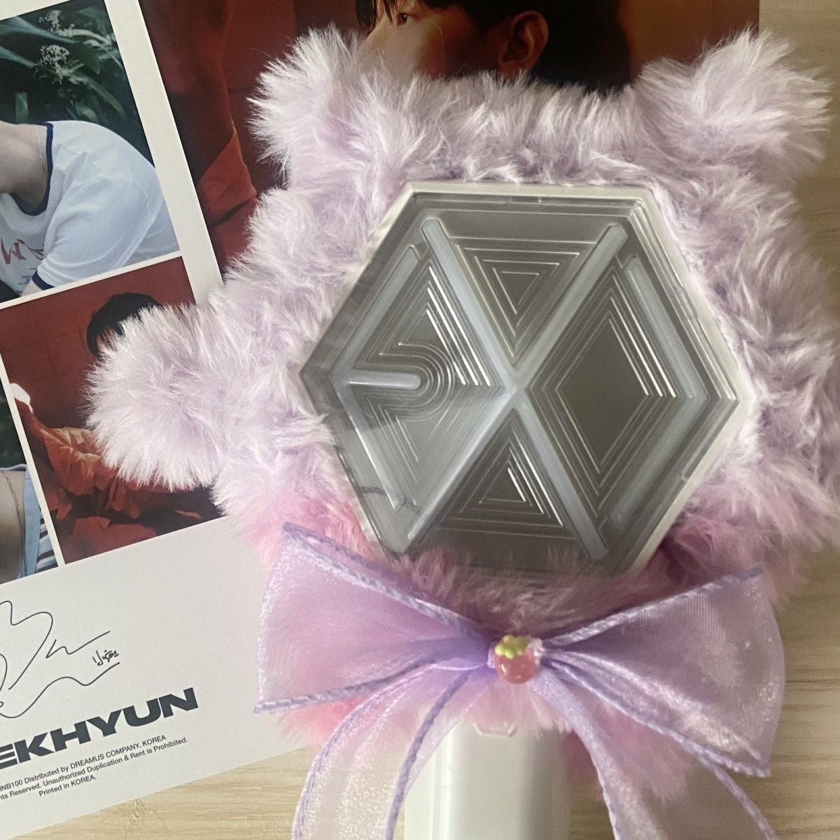 Baekhyun EXO lightstick cover accessories